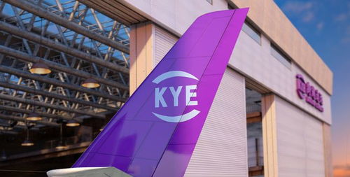 雙十二 電商狂歡,跨越速運(yùn)將時(shí)效 技術(shù) 服務(wù) 一把抓